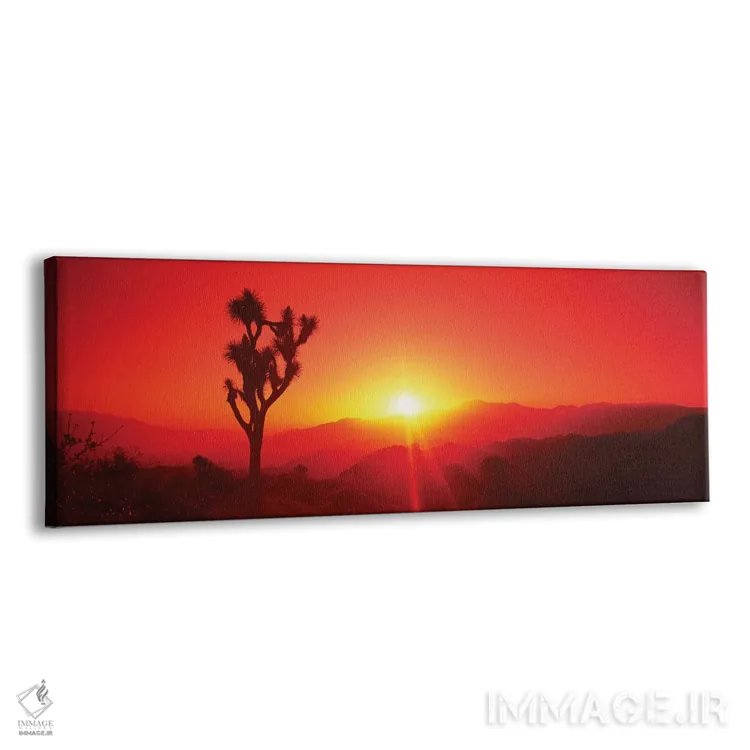 تابلو دکوراتیو سیلوئت درخت جاشوا در هنگام غروب، پارک ملی درخت جاشوا، ک… اثر پانورامیک ایمجز - نمای پرسپکتیو محصول