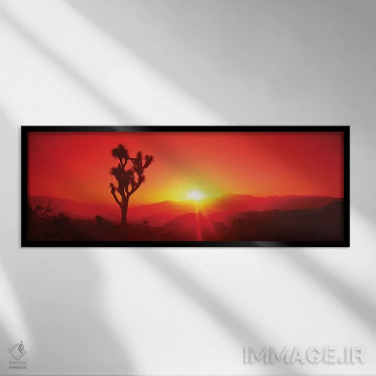 تابلو دکوراتیو سیلوئت درخت جاشوا در هنگام غروب، پارک ملی درخت جاشوا، ک… اثر پانورامیک ایمجز - نمای قابدار مشکی