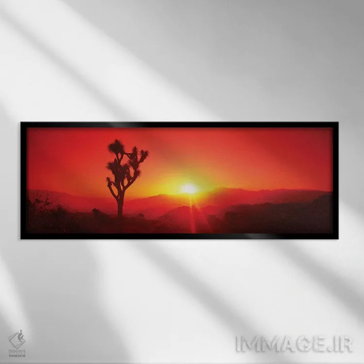 تابلو دکوراتیو سیلوئت درخت جاشوا در هنگام غروب، پارک ملی درخت جاشوا، ک… اثر پانورامیک ایمجز - نمای قابدار مشکی