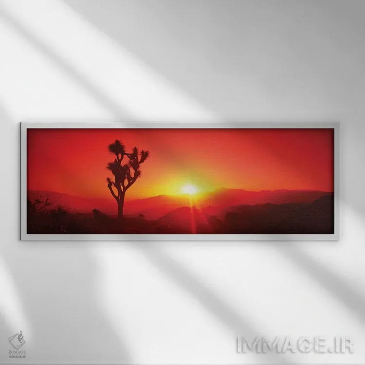 تابلو دکوراتیو سیلوئت درخت جاشوا در هنگام غروب، پارک ملی درخت جاشوا، ک… اثر پانورامیک ایمجز - نمای قابدار سفید