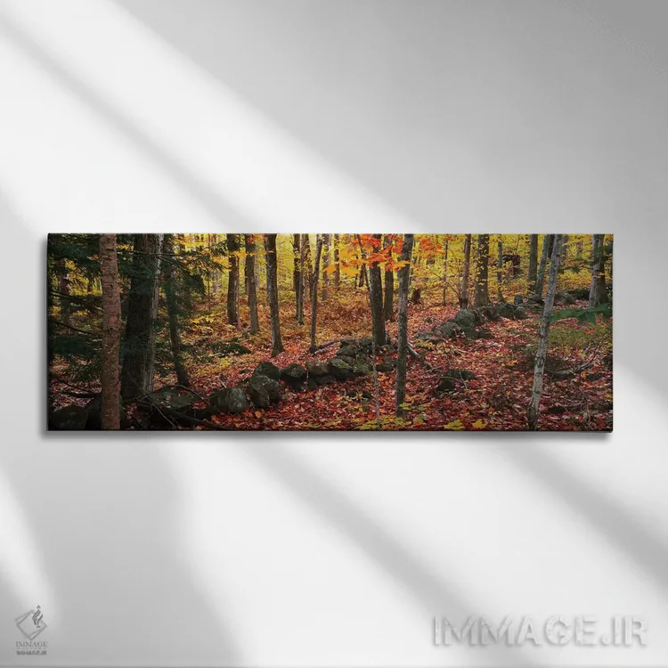 تابلو دکوراتیو "درختان در جنگلی در فصل پاییز، هوپ، شهرستان ناکس، مین… اثر پانورامیک ایمجز - نمای روبهرو روی دیوار