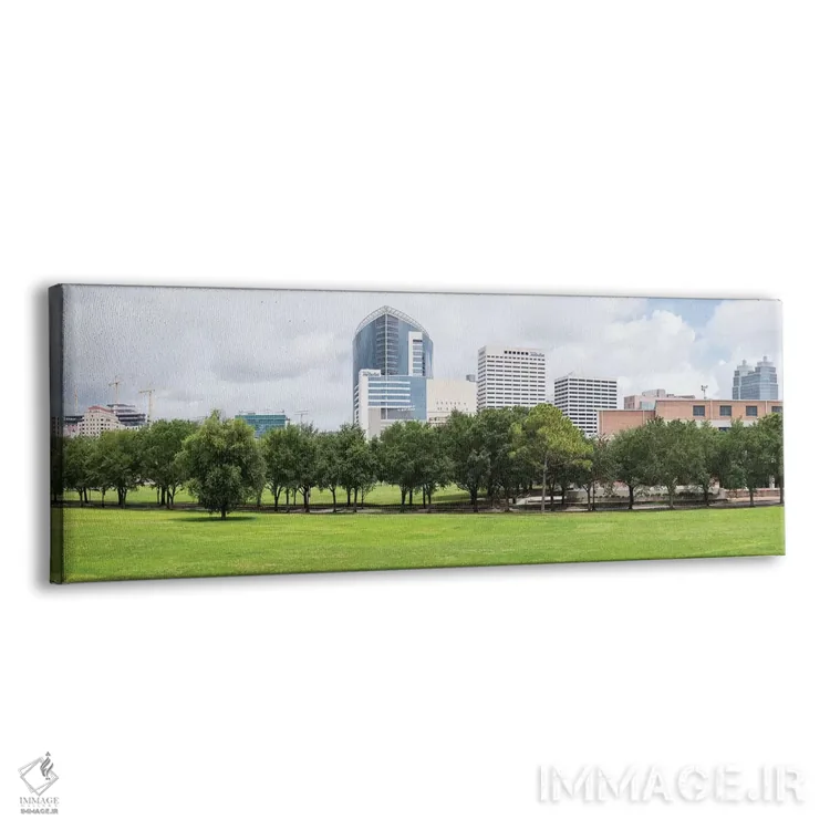 تابلو دکوراتیو مرکز پزشکی تگزاس و دانشگاه رایس در هیوستون، تگزاس، ایال… اثر پانورامیک ایمجز - نمای پرسپکتیو محصول