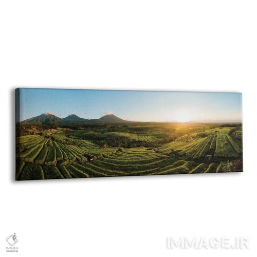 تابلو دکوراتیو نمای هوایی از تراس های برنج جاتیلویو، تابانان، بالی، ان… اثر پانورامیک ایمجز - نمای پرسپکتیو محصول