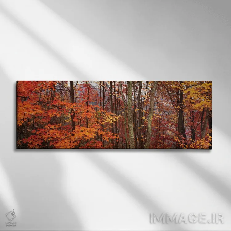 تابلو دکوراتیو درختان پاییزی در پارک ملی کوه های دودی بزرگ، کارولینای… اثر پانورامیک ایمجز - نمای روبهرو روی دیوار