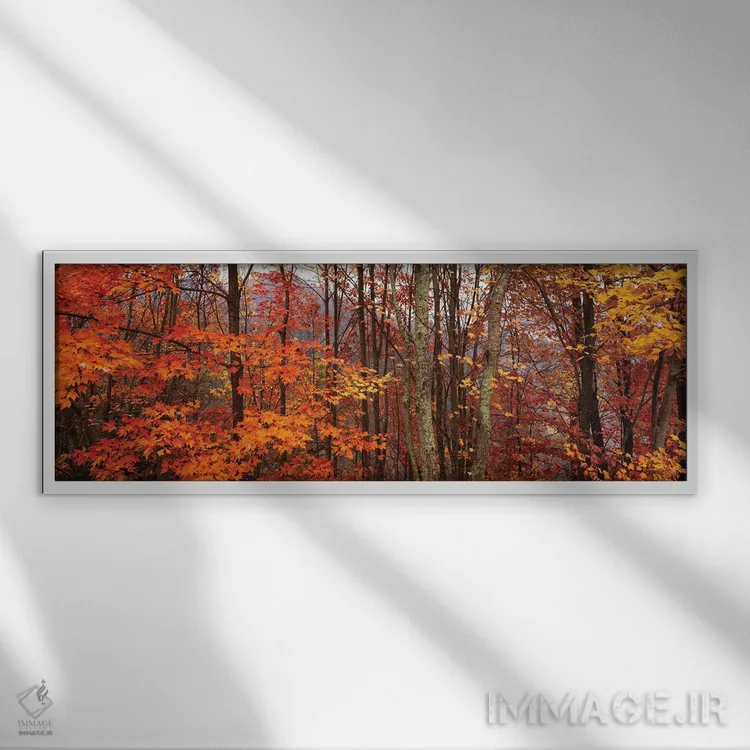 تابلو دکوراتیو درختان پاییزی در پارک ملی کوه های دودی بزرگ، کارولینای… اثر پانورامیک ایمجز - نمای قابدار سفید