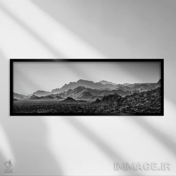 تابلو دکوراتیو منظره سیاه و سفید با نمایی از بیابان، baja کالیفرنیا سو… اثر پانورامیک ایمجز - نمای قابدار مشکی