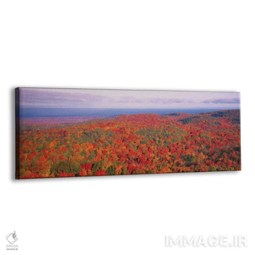 تابلو دکوراتیو قله اوج پاییز در پارک ایالتی ویرجینیای کوه های خارپشت… اثر پانورامیک ایمجز - نمای پرسپکتیو محصول