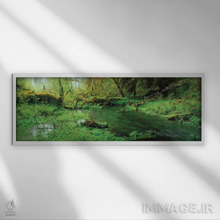 تابلو دکوراتیو جنگل بارانی هوه، پارک ملی المپیک، ایالت واشنگتن، ایالات… اثر پانورامیک ایمجز - نمای قابدار سفید