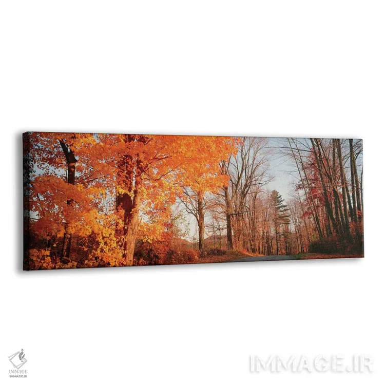 تابلو دکوراتیو درخت افرا در پاییز، تپه های لیچفیلد، کانکتیکات، ایالات… اثر پانورامیک ایمجز - نمای پرسپکتیو محصول