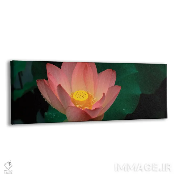 تابلو دکوراتیو شکوفه نیلوفر آبی در یک برکه اثر پانورامیک ایمجز - نمای پرسپکتیو محصول