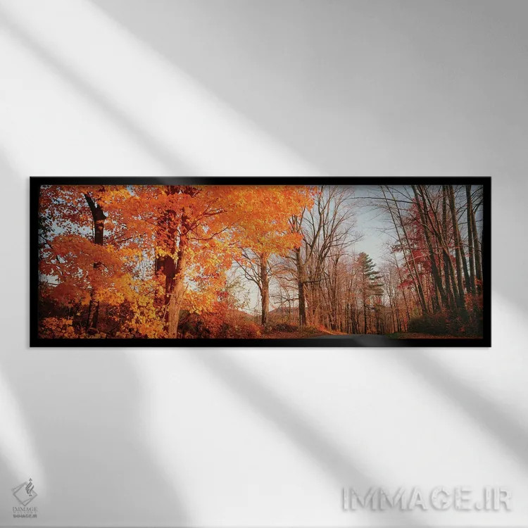 تابلو دکوراتیو درخت افرا در پاییز، تپه های لیچفیلد، کانکتیکات، ایالات… اثر پانورامیک ایمجز - نمای قابدار مشکی