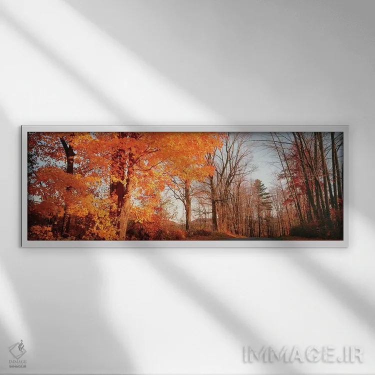 تابلو دکوراتیو درخت افرا در پاییز، تپه های لیچفیلد، کانکتیکات، ایالات… اثر پانورامیک ایمجز - نمای قابدار سفید