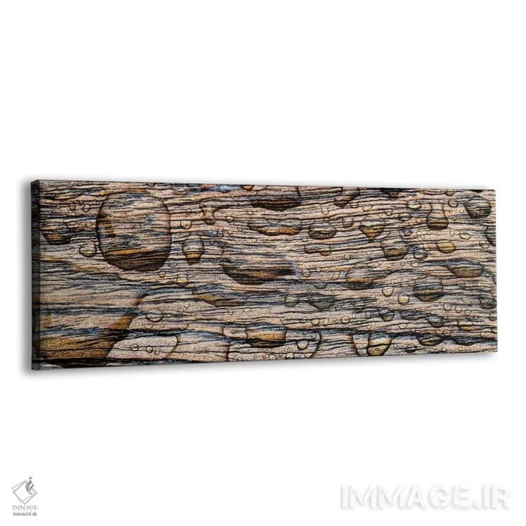 تابلو دکوراتیو California, USA" - "قطره باران بر چوب، کالیفرنیا، ایالا… اثر پانورامیک ایمجز - نمای پرسپکتیو محصول