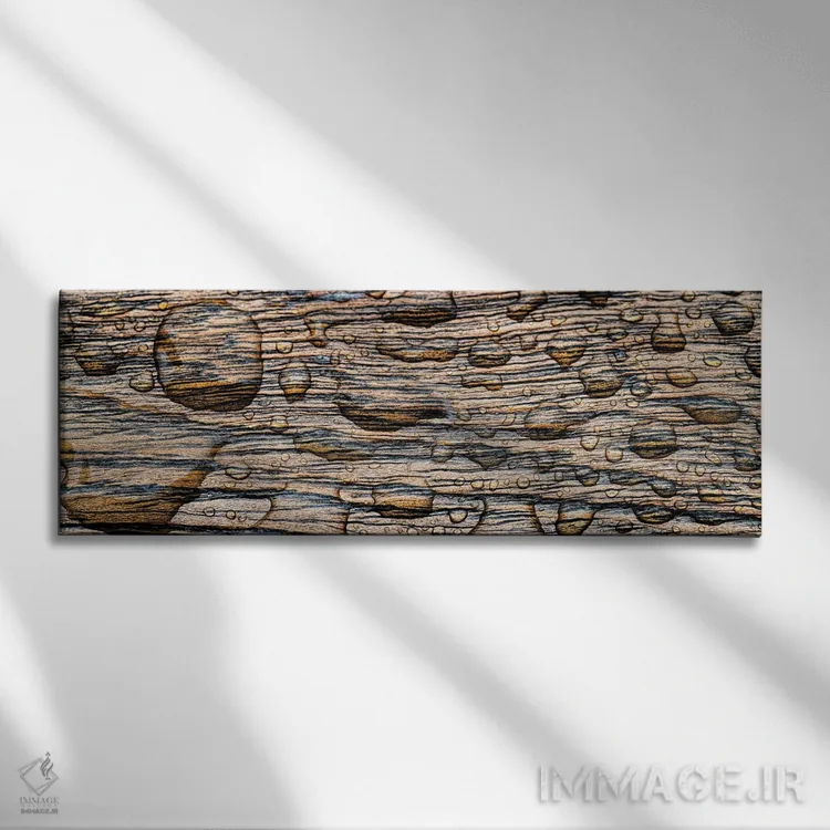 تابلو دکوراتیو California, USA" - "قطره باران بر چوب، کالیفرنیا، ایالا… اثر پانورامیک ایمجز - نمای روبهرو روی دیوار