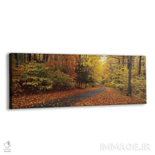 تابلو دکوراتیو Chestnut Ridge County Park, Orchard Park, Erie County… اثر پانورامیک ایمجز - نمای پرسپکتیو محصول