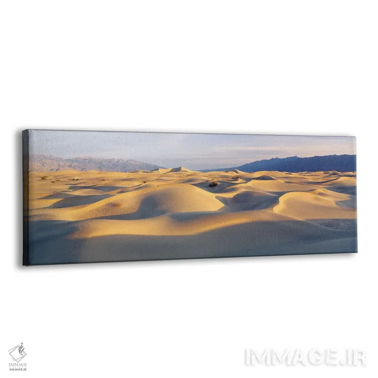 تابلو دکوراتیو Mesquite Flat Dunes, Death Valley National Park, Califo… اثر پانورامیک ایمجز - نمای پرسپکتیو محصول