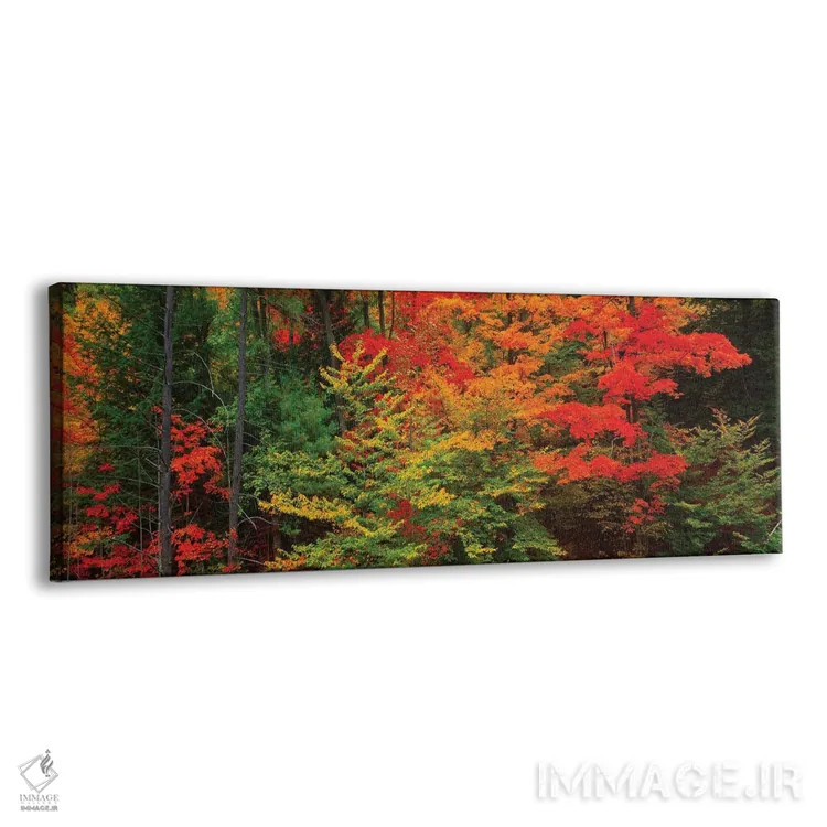تابلو دکوراتیو Tibbetts Memorial State Forest, Pittstown, Rensselaer C… اثر پانورامیک ایمجز - نمای پرسپکتیو محصول