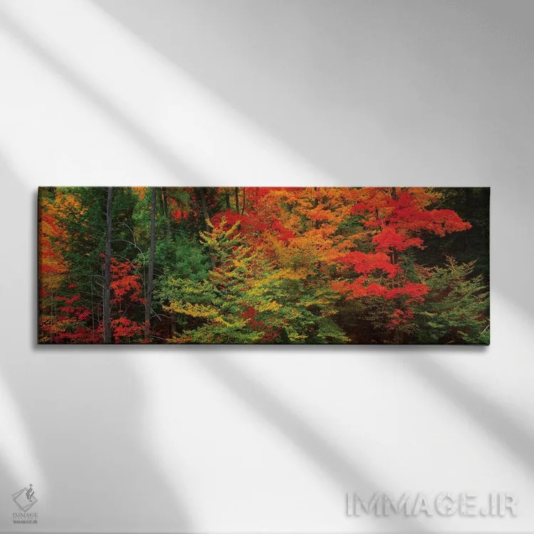 تابلو دکوراتیو Tibbetts Memorial State Forest, Pittstown, Rensselaer C… اثر پانورامیک ایمجز - نمای روبهرو روی دیوار