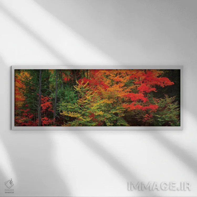 تابلو دکوراتیو Tibbetts Memorial State Forest, Pittstown, Rensselaer C… اثر پانورامیک ایمجز - نمای قابدار سفید