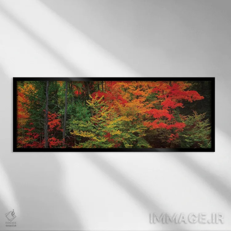 تابلو دکوراتیو Tibbetts Memorial State Forest, Pittstown, Rensselaer C… اثر پانورامیک ایمجز - نمای قابدار مشکی