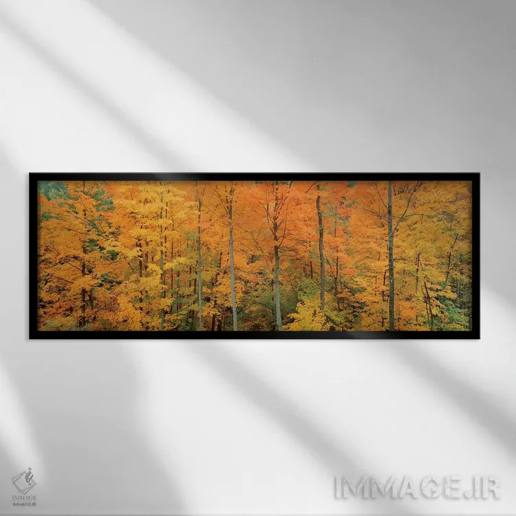 تابلو دکوراتیو Memorial State Forest, New York, USA" - "درختان در جنگل… اثر پانورامیک ایمجز - نمای قابدار مشکی