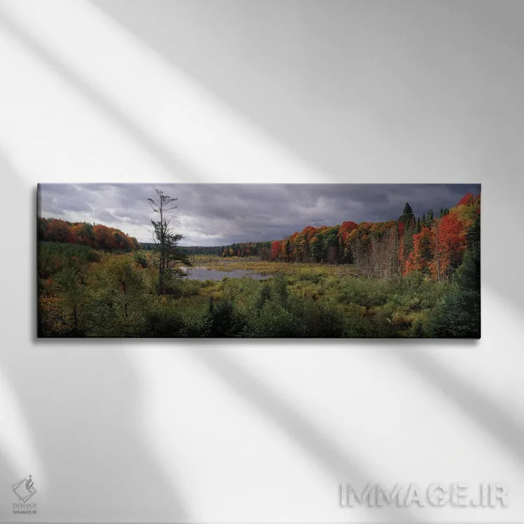 تابلو دکوراتیو Ottawa National Forest, North Woods, Upper Peninsula, M… اثر پانورامیک ایمجز - نمای روبهرو روی دیوار