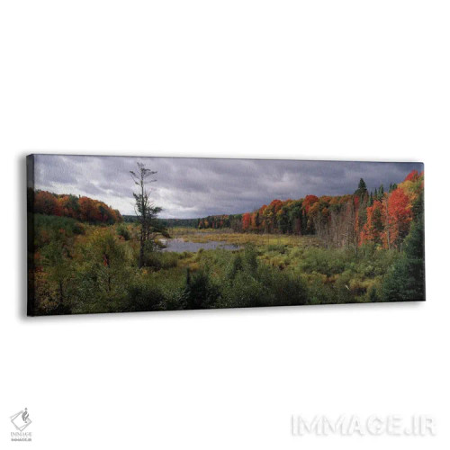 تابلو دکوراتیو Ottawa National Forest, North Woods, Upper Peninsula, M… اثر پانورامیک ایمجز - نمای پرسپکتیو محصول