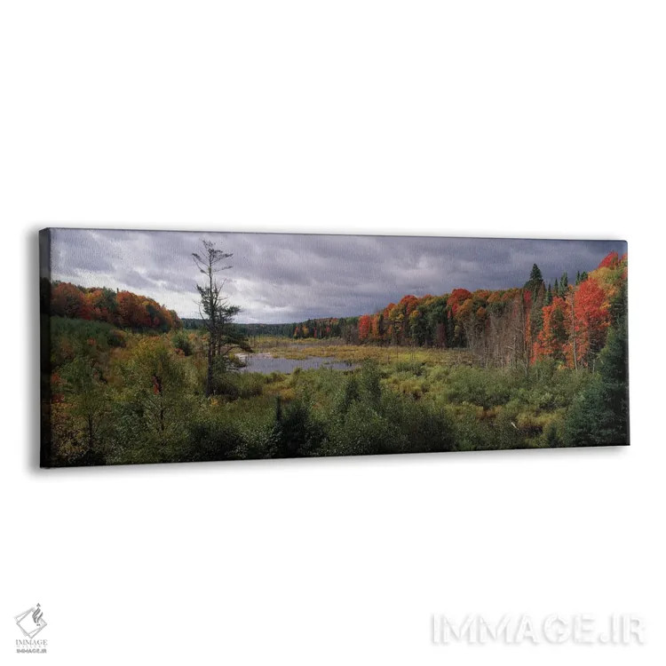 تابلو دکوراتیو Ottawa National Forest, North Woods, Upper Peninsula, M… اثر پانورامیک ایمجز - نمای پرسپکتیو محصول
