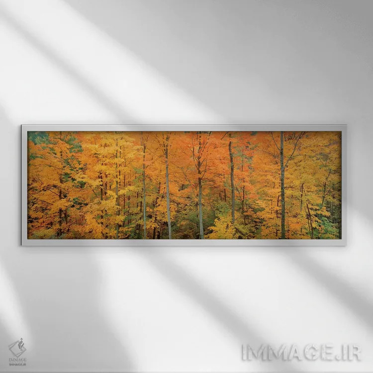 تابلو دکوراتیو Memorial State Forest, New York, USA" - "درختان در جنگل… اثر پانورامیک ایمجز - نمای قابدار سفید