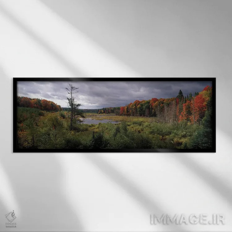 تابلو دکوراتیو Ottawa National Forest, North Woods, Upper Peninsula, M… اثر پانورامیک ایمجز - نمای قابدار مشکی