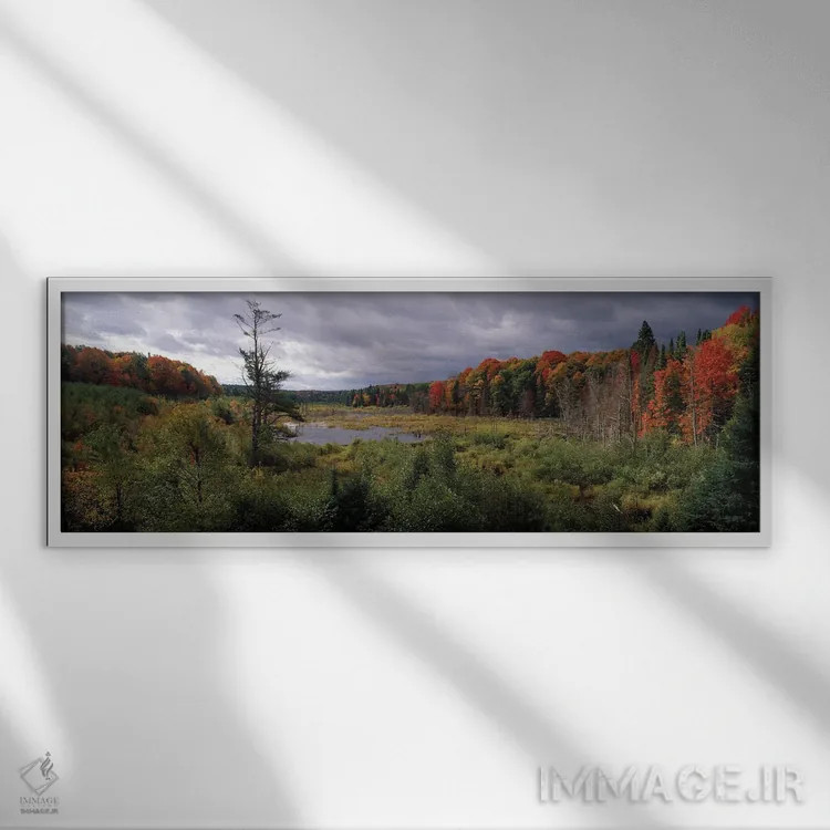تابلو دکوراتیو Ottawa National Forest, North Woods, Upper Peninsula, M… اثر پانورامیک ایمجز - نمای قابدار سفید