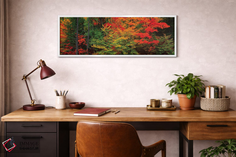 تابلو دکوراتیو Tibbetts Memorial State Forest, Pittstown, Rensselaer C… اثر پانورامیک ایمجز - D3W