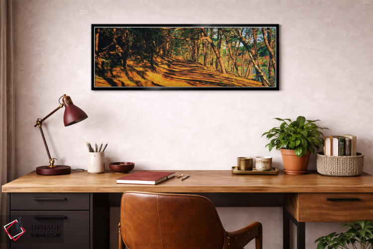 تابلو دکوراتیو Beech Forest Trail, Provincetown, Cape Cod, Barnstable… اثر پانورامیک ایمجز - D3B