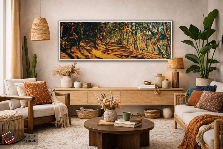 تابلو دکوراتیو Beech Forest Trail, Provincetown, Cape Cod, Barnstable… اثر پانورامیک ایمجز - D2W