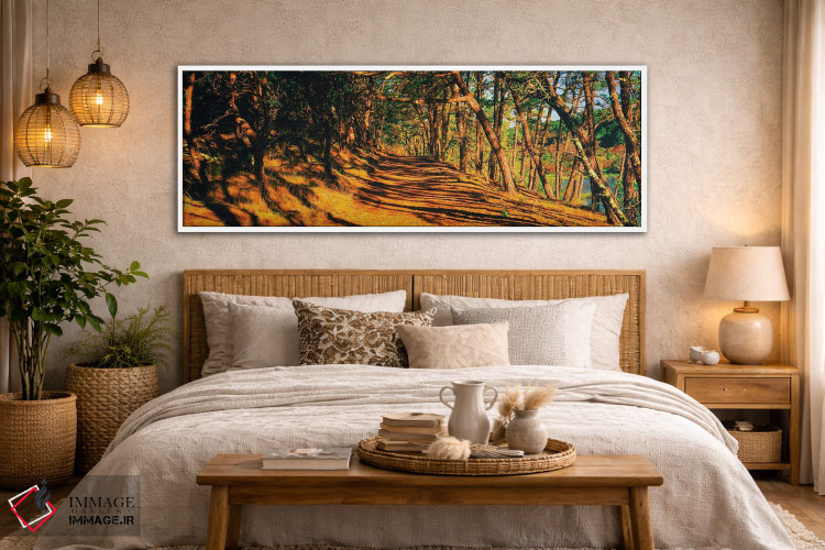 تابلو دکوراتیو Beech Forest Trail, Provincetown, Cape Cod, Barnstable… اثر پانورامیک ایمجز - D4W