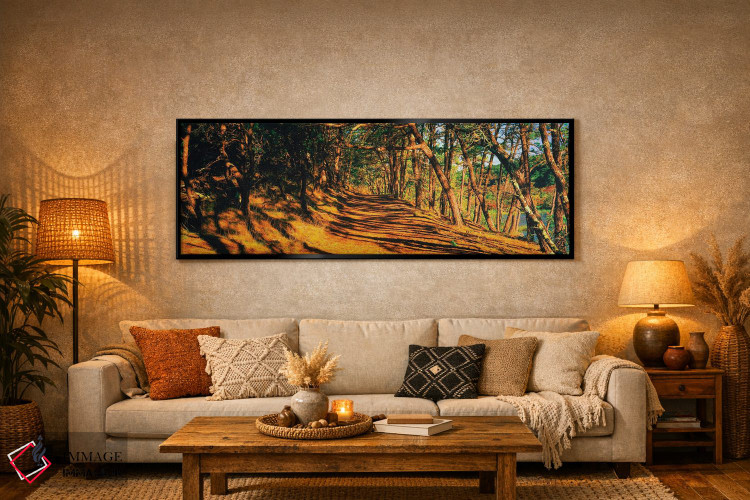 تابلو دکوراتیو Beech Forest Trail, Provincetown, Cape Cod, Barnstable… اثر پانورامیک ایمجز - D6B