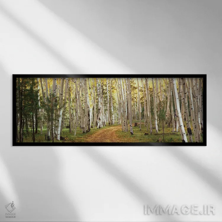 تابلو دکوراتیو Dixie National Forest, Utah, USA,درختان صنوبر لرزان در… اثر پانورامیک ایمجز - نمای قابدار مشکی