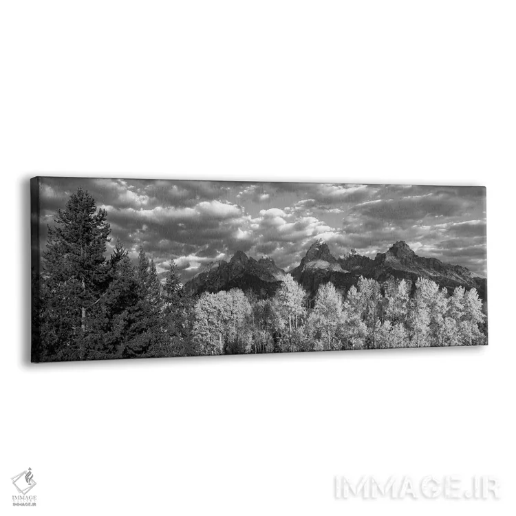 تابلو دکوراتیو Teton Range, Grand Teton National Park, Wyoming, USA,بی… اثر پانورامیک ایمجز - نمای پرسپکتیو محصول