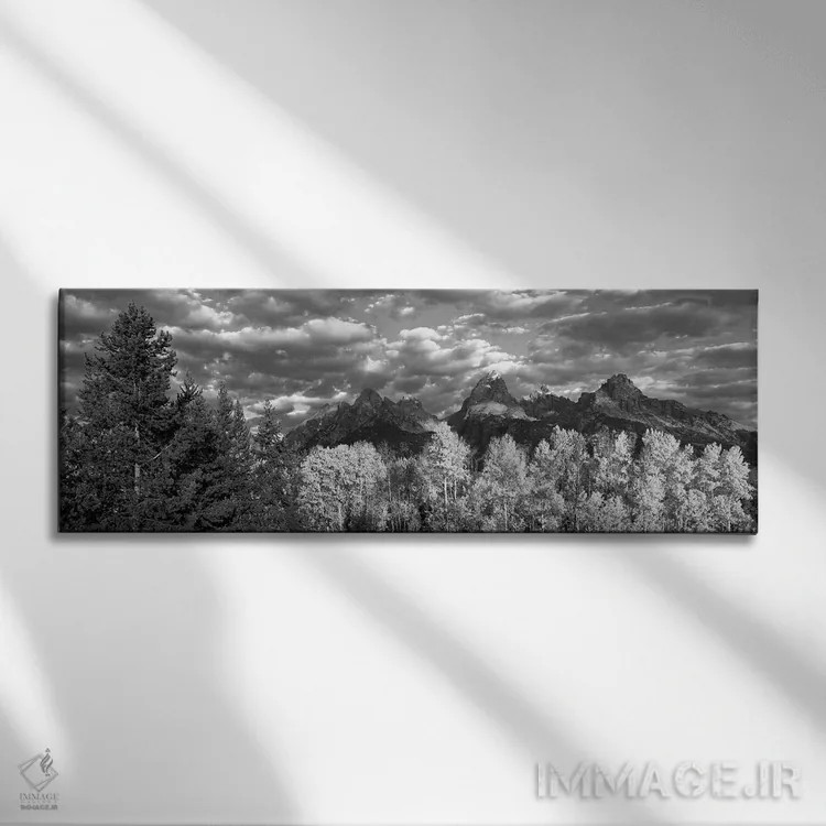 تابلو دکوراتیو Teton Range, Grand Teton National Park, Wyoming, USA,بی… اثر پانورامیک ایمجز - نمای روبهرو روی دیوار