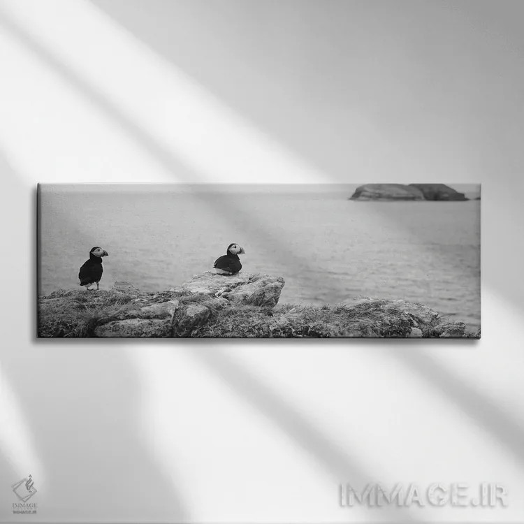 تابلو دکوراتیو Maberly, Newfoundland And Labrador, Canada,پافین های اط… اثر پانورامیک ایمجز - نمای روبهرو روی دیوار