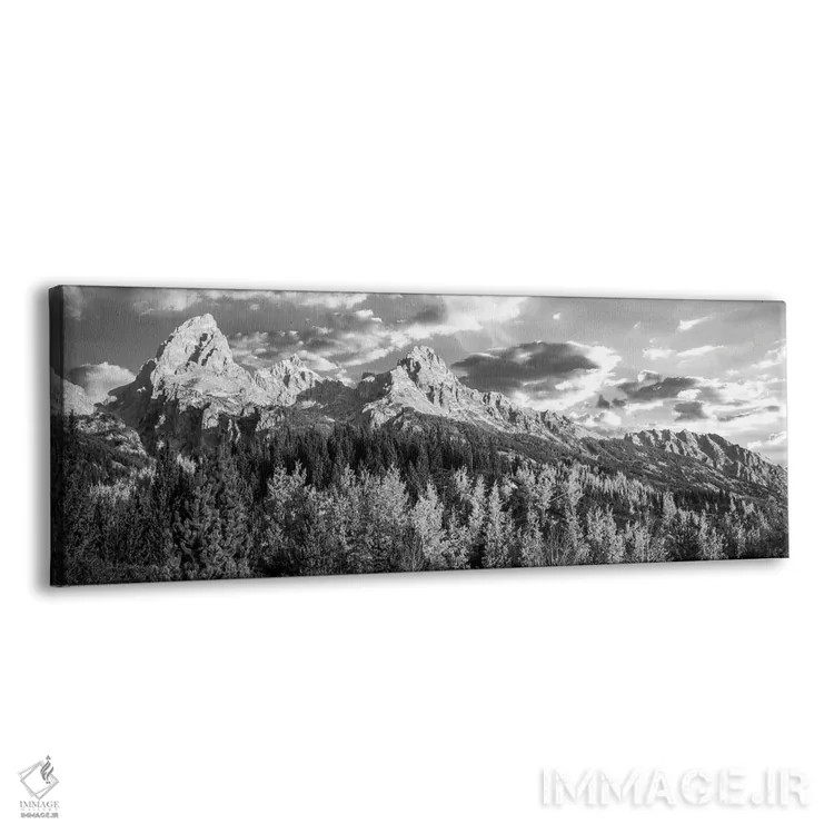 تابلو دکوراتیو Taggart Lake, Grand Teton National Park, Wyoming, USA,د… اثر پانورامیک ایمجز - نمای پرسپکتیو محصول