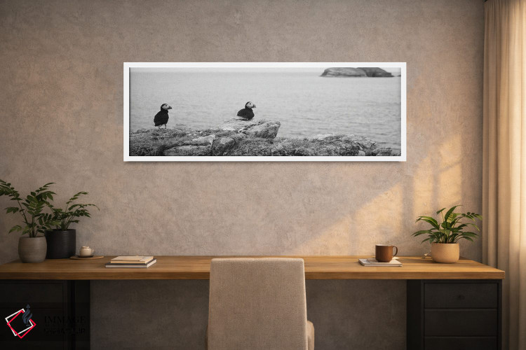 تابلو دکوراتیو Maberly, Newfoundland And Labrador, Canada,پافین های اط… اثر پانورامیک ایمجز - D1W