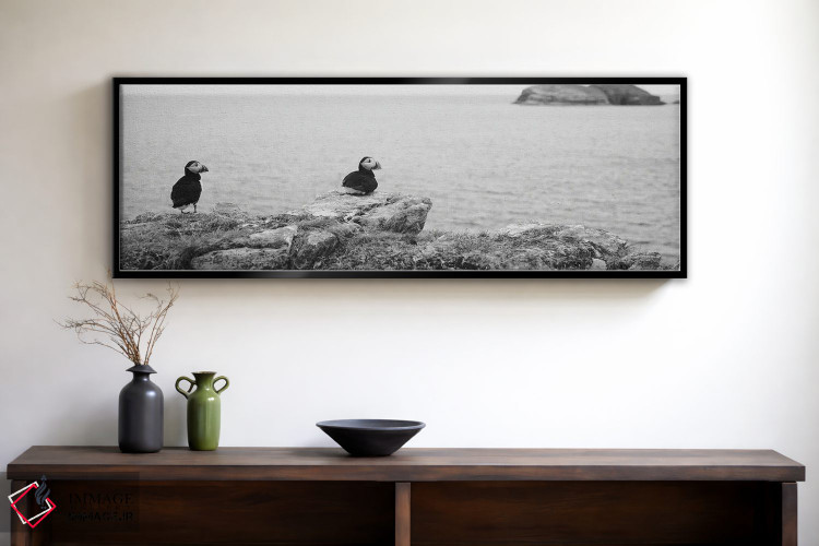 تابلو دکوراتیو Maberly, Newfoundland And Labrador, Canada,پافین های اط… اثر پانورامیک ایمجز - D2B