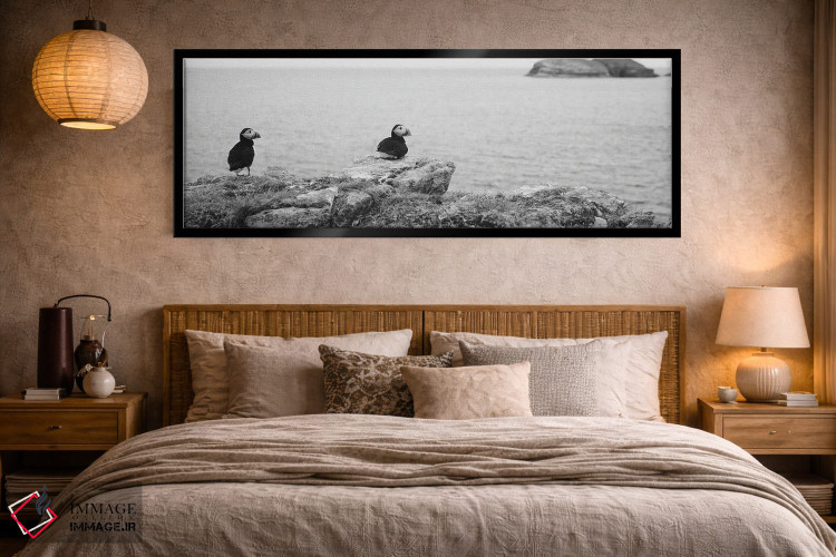 تابلو دکوراتیو Maberly, Newfoundland And Labrador, Canada,پافین های اط… اثر پانورامیک ایمجز - D5B