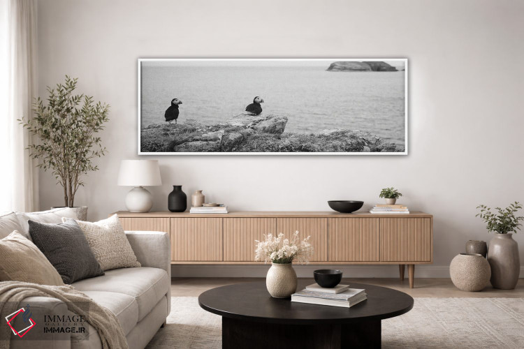 تابلو دکوراتیو Maberly, Newfoundland And Labrador, Canada,پافین های اط… اثر پانورامیک ایمجز - D4W