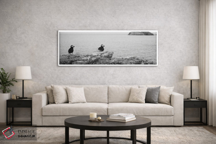 تابلو دکوراتیو Maberly, Newfoundland And Labrador, Canada,پافین های اط… اثر پانورامیک ایمجز - D6W