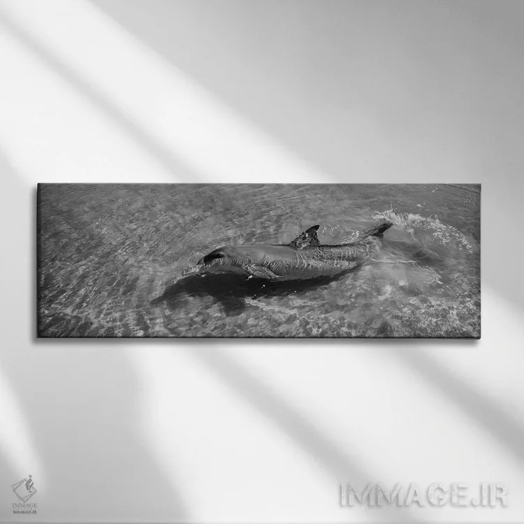 تابلو دکوراتیو Monkey Mia, Shark Bay Marine Park, Perth, Western Austr… اثر پانورامیک ایمجز - نمای روبهرو روی دیوار