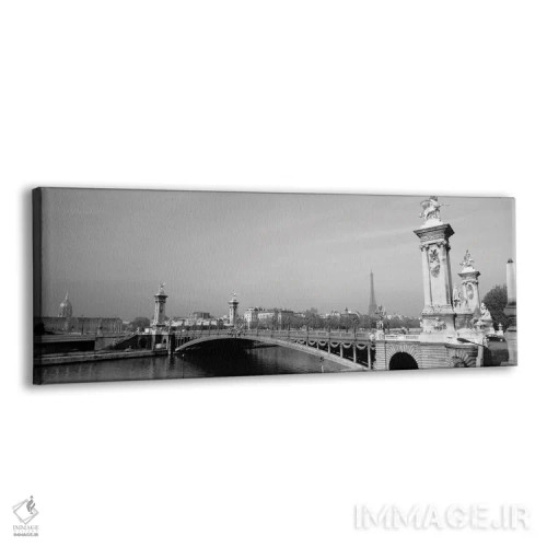 تابلو دکوراتیو Alexandre III Bridge, Eiffel Tower, Paris, France" - "پ… اثر پانورامیک ایمجز - نمای پرسپکتیو محصول
