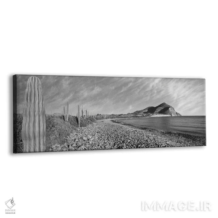 تابلو دکوراتیو Sea Of Cortez, Mulege, Baja California Sur, Mexico" - "… اثر پانورامیک ایمجز - نمای پرسپکتیو محصول