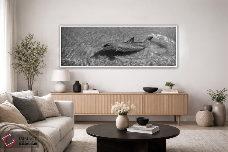 تابلو دکوراتیو Monkey Mia, Shark Bay Marine Park, Perth, Western Austr… اثر پانورامیک ایمجز - D4W